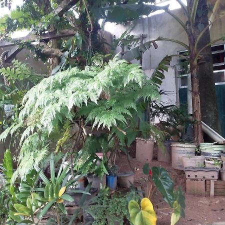 Hostel El Caleuche Rio das Ostras Exterior photo